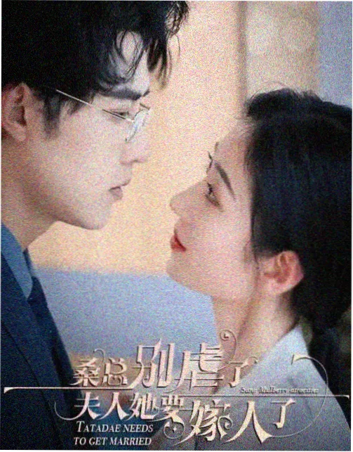 都市职场连续剧档案封面